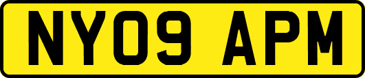 NY09APM