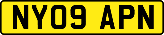 NY09APN