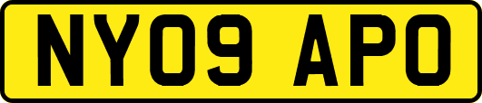 NY09APO