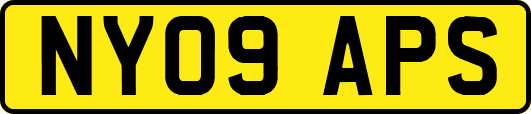 NY09APS