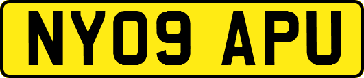 NY09APU