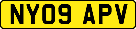 NY09APV