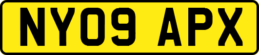 NY09APX