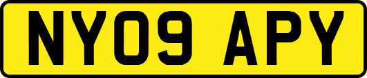 NY09APY
