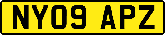 NY09APZ