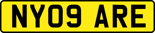 NY09ARE