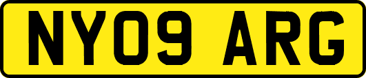 NY09ARG