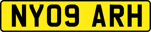NY09ARH