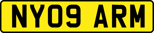 NY09ARM