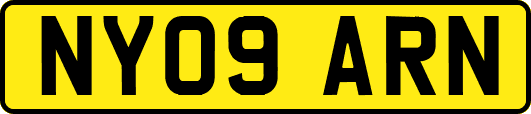 NY09ARN