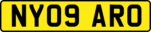 NY09ARO