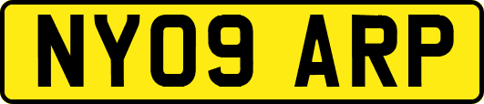 NY09ARP