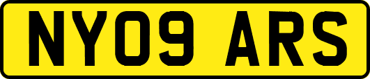 NY09ARS