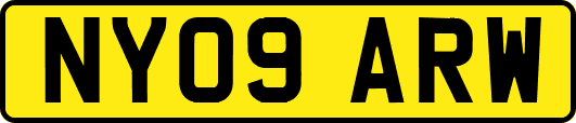 NY09ARW