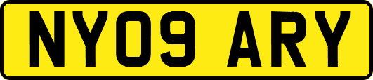 NY09ARY