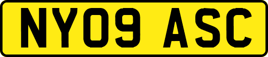 NY09ASC
