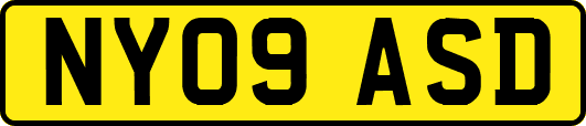 NY09ASD