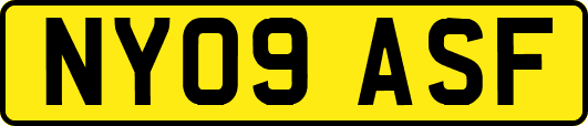 NY09ASF
