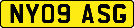 NY09ASG