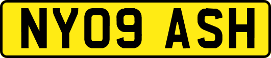 NY09ASH