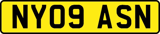 NY09ASN