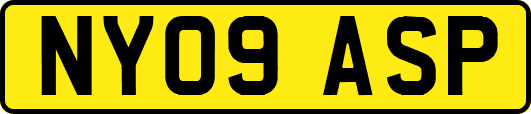 NY09ASP