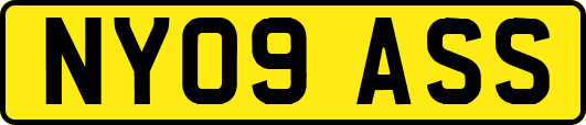 NY09ASS