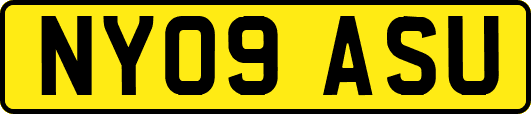 NY09ASU