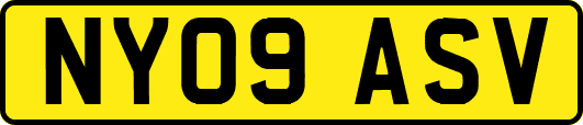 NY09ASV
