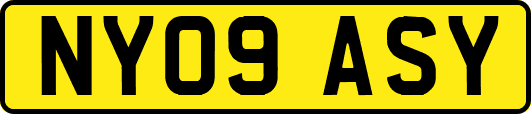 NY09ASY