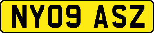 NY09ASZ