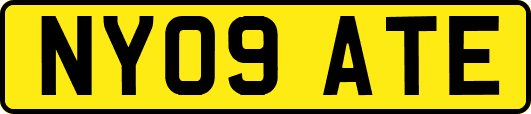NY09ATE