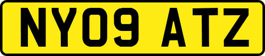 NY09ATZ