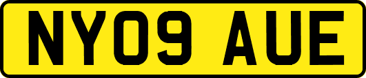 NY09AUE