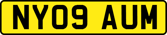 NY09AUM