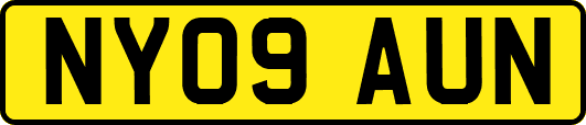 NY09AUN