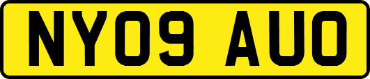 NY09AUO