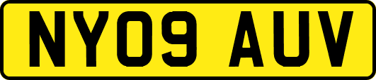 NY09AUV
