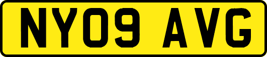 NY09AVG