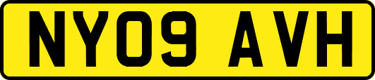 NY09AVH