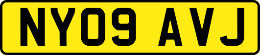 NY09AVJ