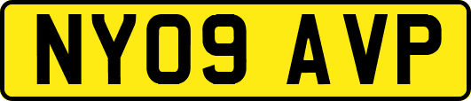 NY09AVP