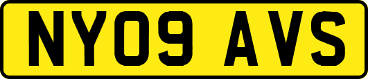 NY09AVS