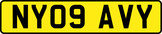NY09AVY