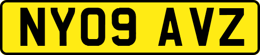 NY09AVZ
