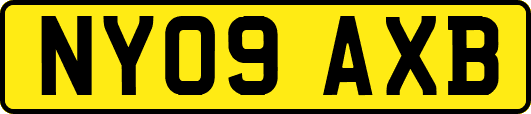 NY09AXB