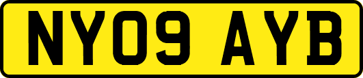 NY09AYB