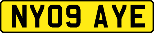 NY09AYE