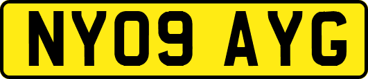 NY09AYG