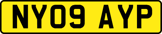 NY09AYP